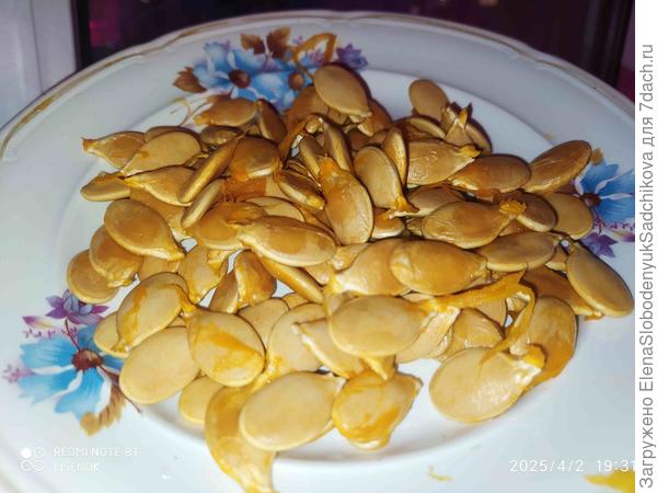 Тыква Зимнее угощение