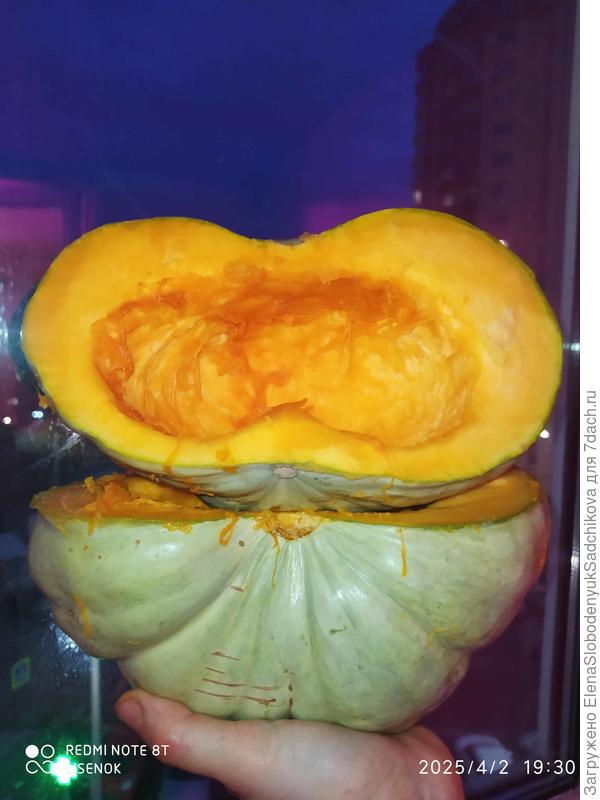 Тыква зимнее угощение