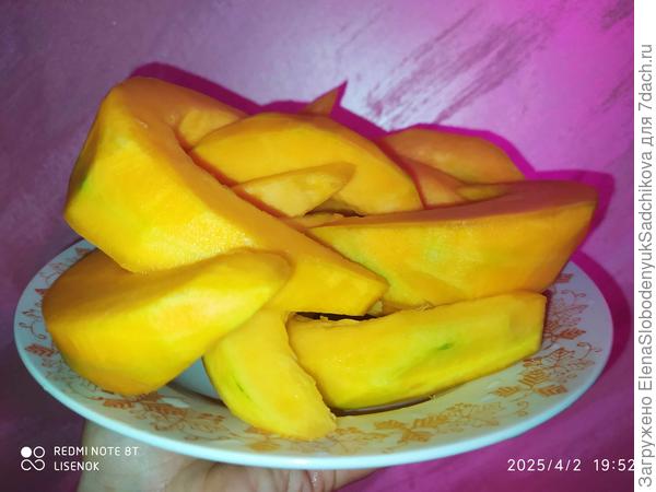 Тыква зимнее угощение