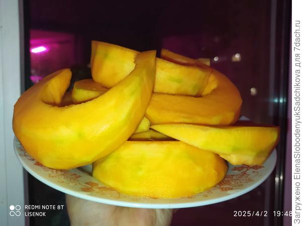 Тыква зимнее угощение