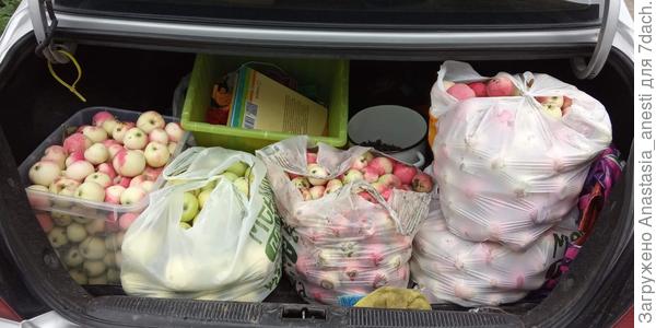 а вот небольшая часть урожая, четверть или треть.