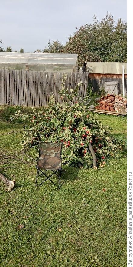 вот что срезали