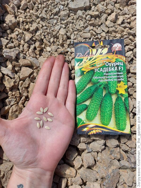 Содержимое упаковки