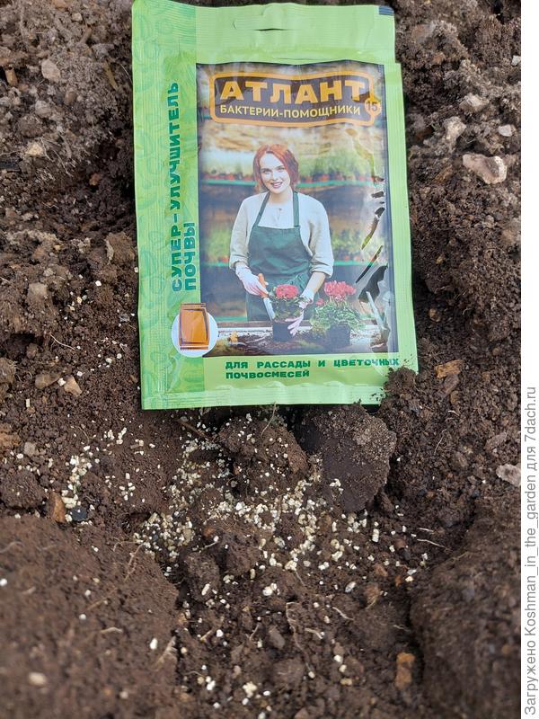 При посеве использовала