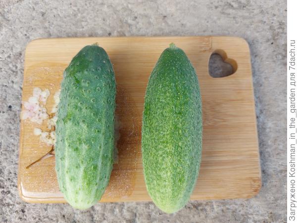 С виду два разных огурца, но это всё "Усадебка"