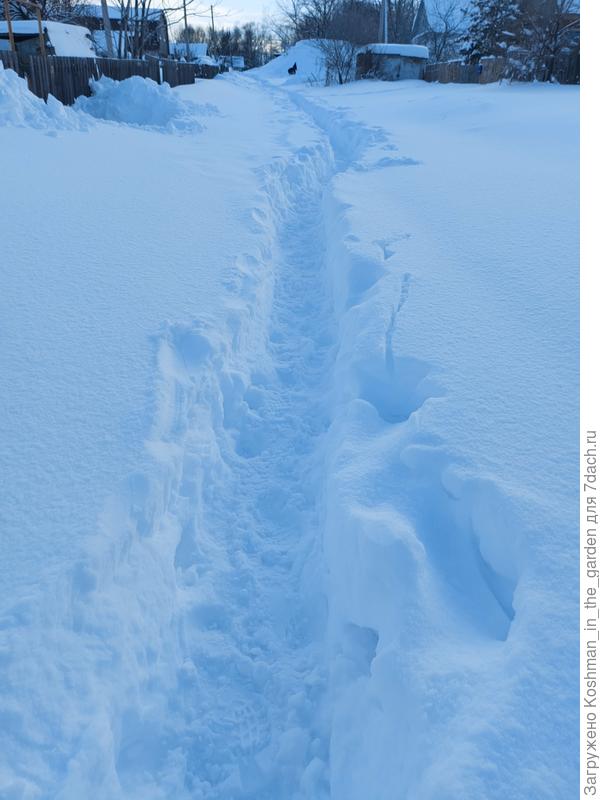 Наша улочка