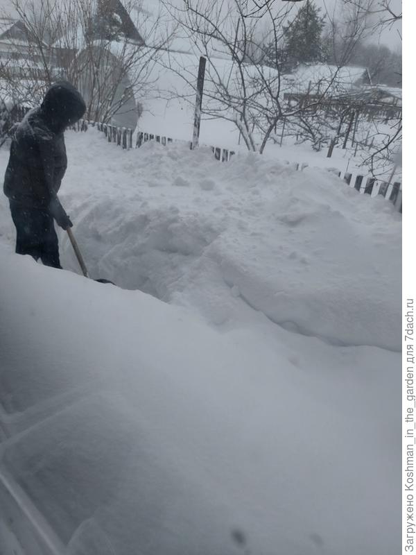 Расчищаем тропинки во дворе