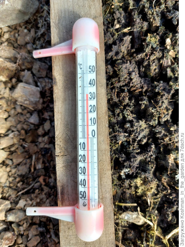 23 марта. Температура днём в закрытой теплице.