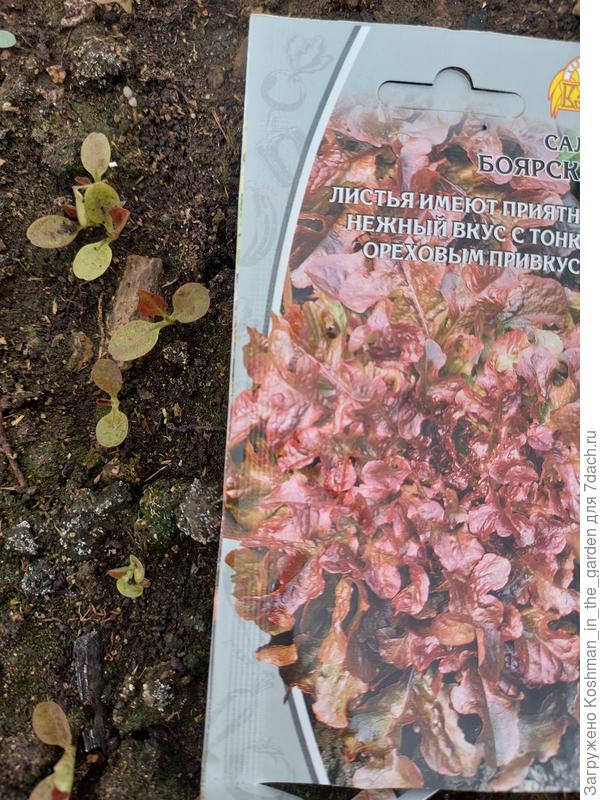 22 апреля. Салат "Боярский".