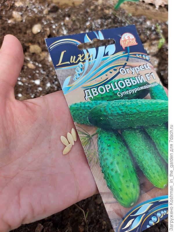 Семена для посева