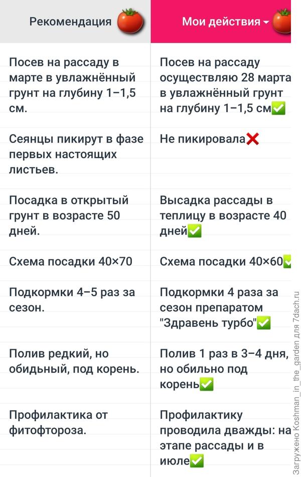 Агротехника идёт по плану