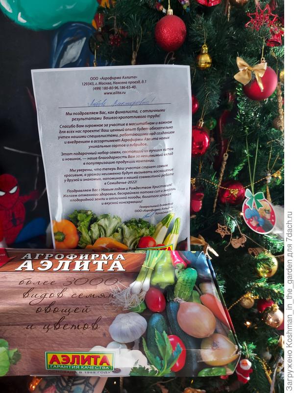 Подарок под ёлку