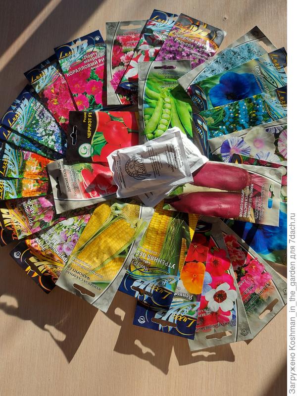 Спасибо за подарок!