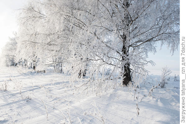 Зимушка зима