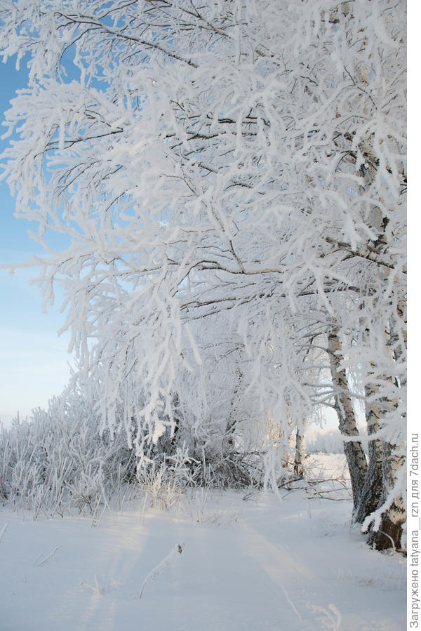Мороз и Солндце