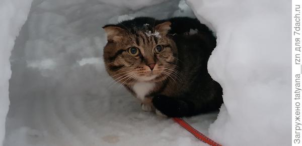 Ледяные домики тоже любит, особенно те, что сделали специально для нее