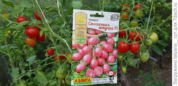 Нереальное количество