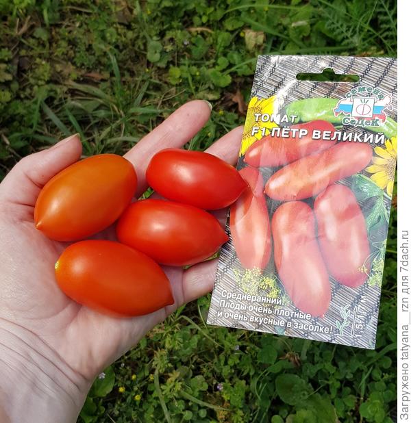 Найдите отличия...