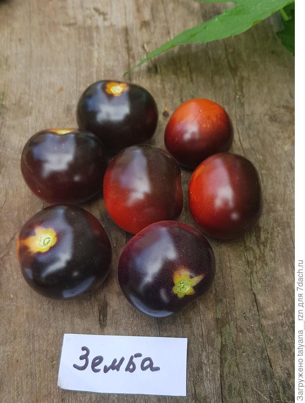 Вот такие красавчики