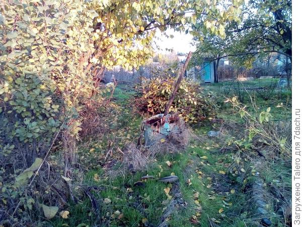А так это смотрелось после предварительной расчистки