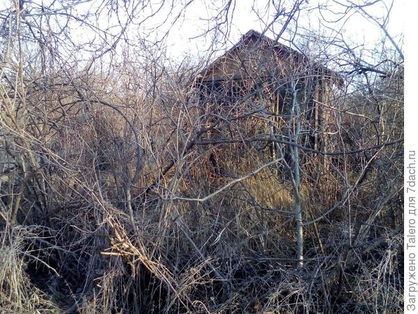 Это домик-призрак, листва его полностью скрывает, даже не догадаешься, что там что-то есть. Тоже ничейный, брошенный.