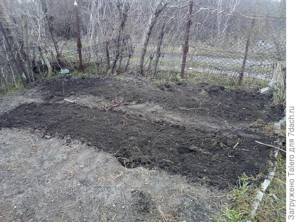 Тем не менее две грядки уже подготовила. На крайней будет всякая ерунда, а на второй... всякая ерунда?