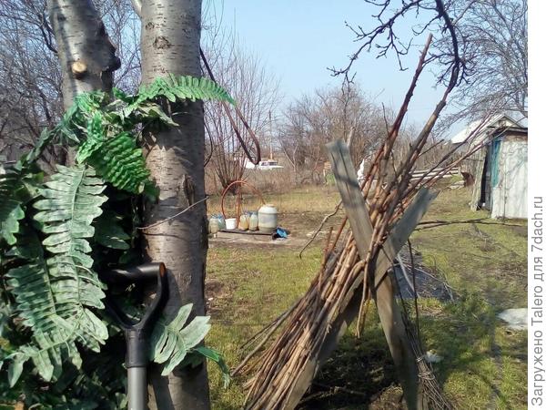 На дальнем участке замечены следы жизни