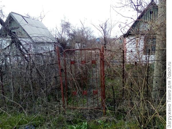 В комментариях спрашивали про жуткий соседский участок: вот он, домик справа