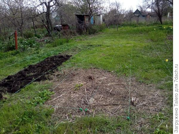 Начало положено. К майским Юра клятвенно пообещал вскопать три грядки, а срытым дерном засыпать великую яму по центру