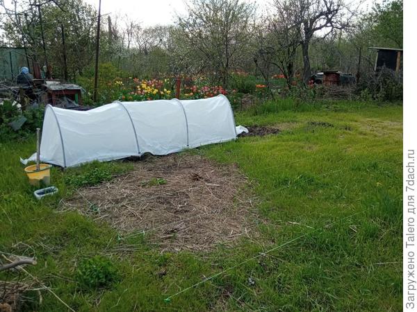 Парнички покупала самые короткие, поскольку не была уверена, куда их уместить. Оказывается, можно было не переживать, места навалом