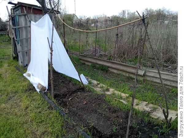 Соорудила страшную конструкцию под зелень и огручики и была уверена, что к утру она рухнет