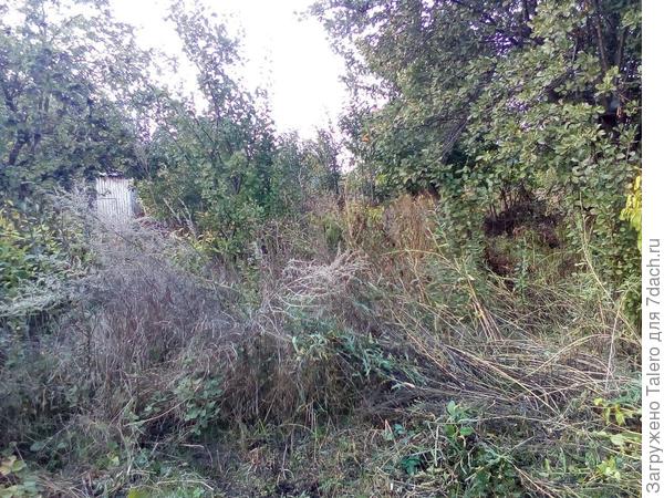 Добраться сюда в прошлом году удалось лишь к осени