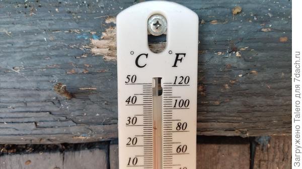 Это в тени, в самом прохладном месте дачи