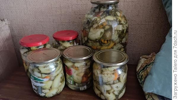 Вот так они выглядят