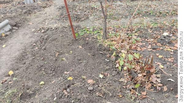 Заодно дорожку расширю, и будет гораздо удобнее