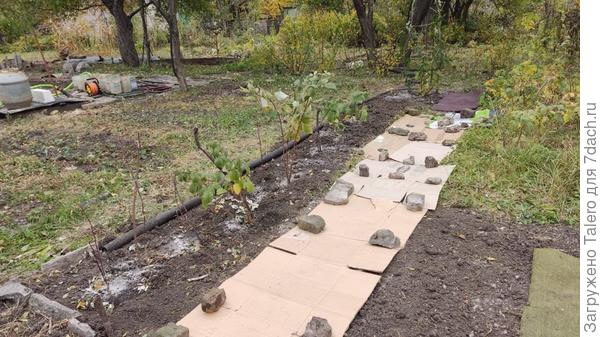 Но самое сложное впереди