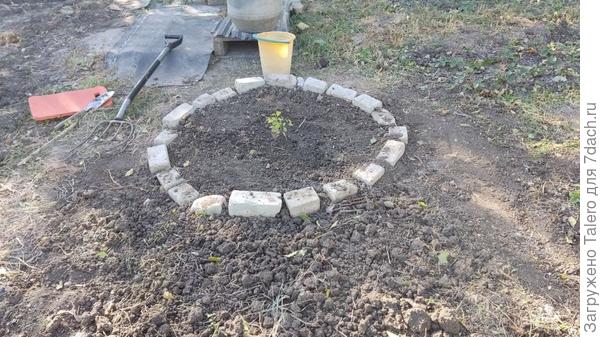 А теперь так!