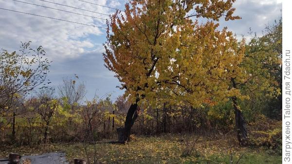 Опять придётся всё самой!