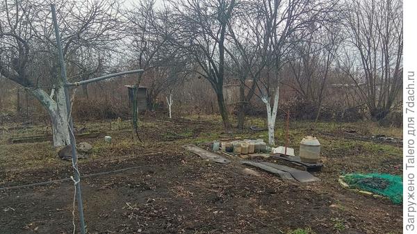 А травка упорно зеленеет