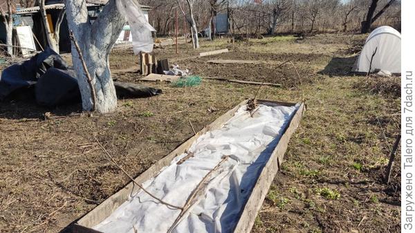 Здесь будут жить огурцы. Но большинство грядок пока не трогала даже