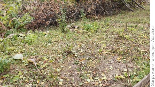 Вот этот кусочек надо раскапывать