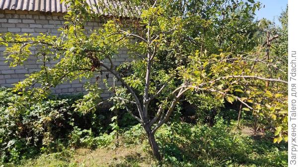 Фото архивное, сделано прошлой осенью