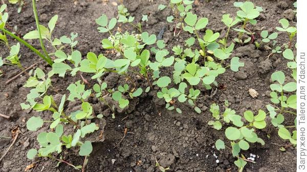 Поначалу было похоже, но чем дальше, тем нет