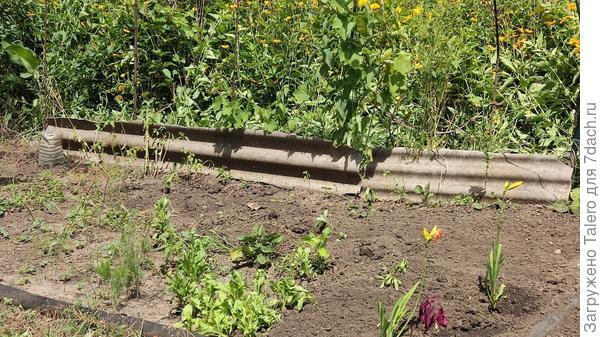 Это не камера искажает, а справа земля и правда поднимается горкой