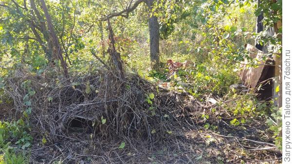 Завал после пары дней трудов выглядит так