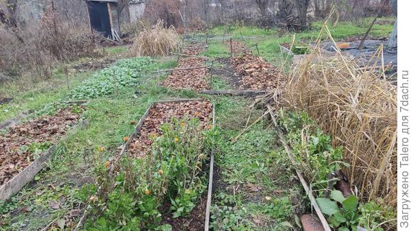 Листопад, листопад