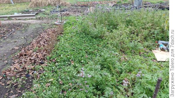 А вообще осень, как обычно, местами: слева осень, справа вполне себе лето