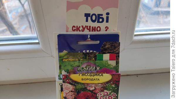 Прочие всё же оставила до лучших времён, ну или пока снова не заскучаю))