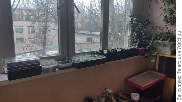 А тут они обитают днём