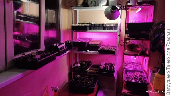 Всё равно всё не влезает, но хоть что-то уже!